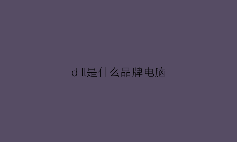 dll是什么品牌电脑(dh电脑是什么牌子)